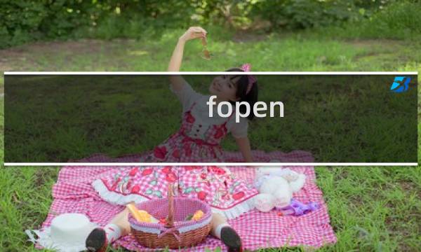 fopen() 请查看环境是否能使用些函数?