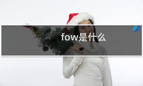 fow是什么