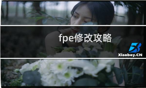 fpe修改攻略