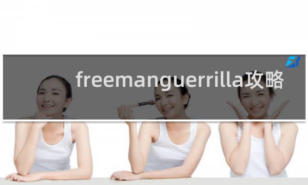 freemanguerrilla攻略