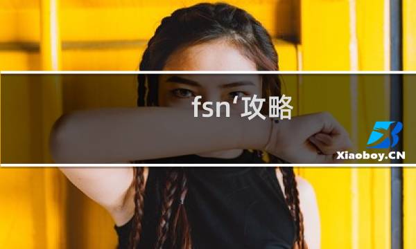 fsn‘攻略