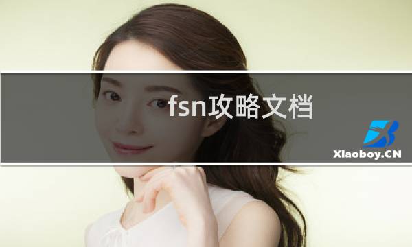 fsn攻略文档