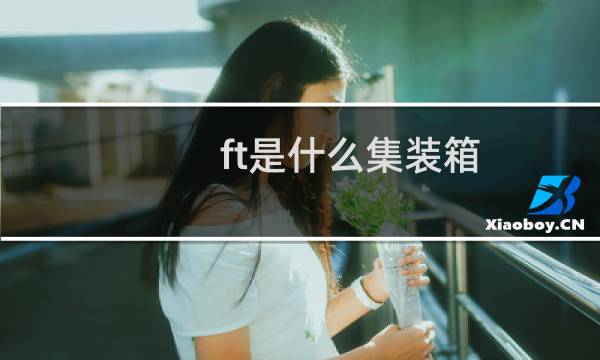 ft是什么集装箱
