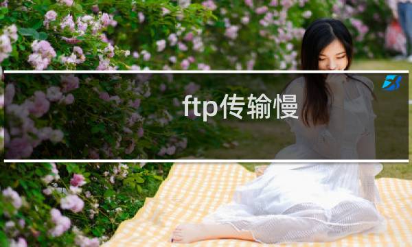 ftp传输慢,上传不了-虚拟主机/数据库问题