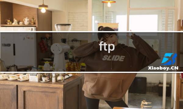 ftp 无法连接503错误