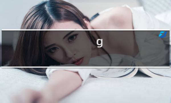 g  攻略