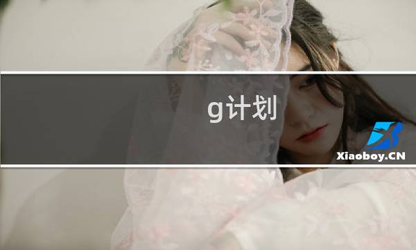 g计划 最终幻想