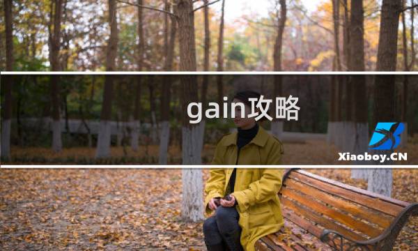 gain攻略