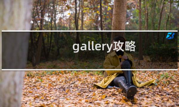 gallery攻略
