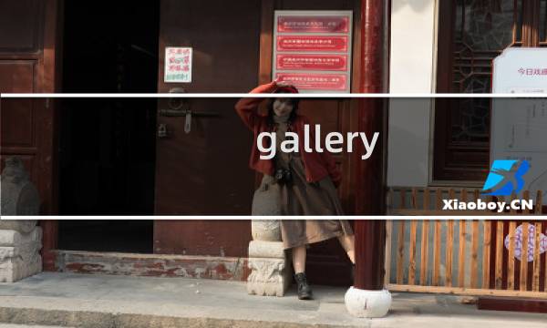gallery图片