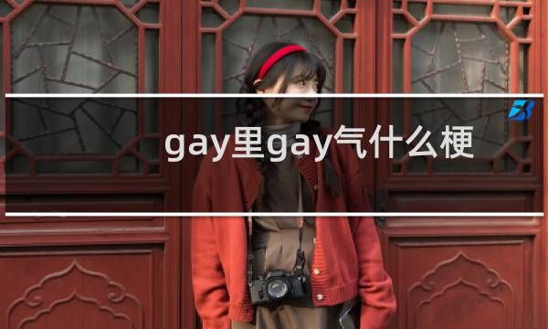 gay里gay气什么梗