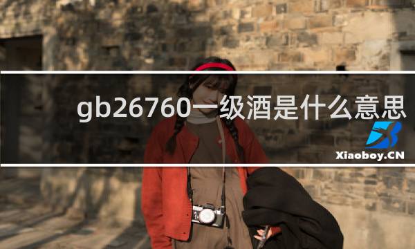 gb26760一级酒是什么意思