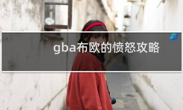 gba布欧的愤怒攻略