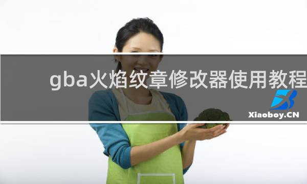 gba火焰纹章修改器使用教程
