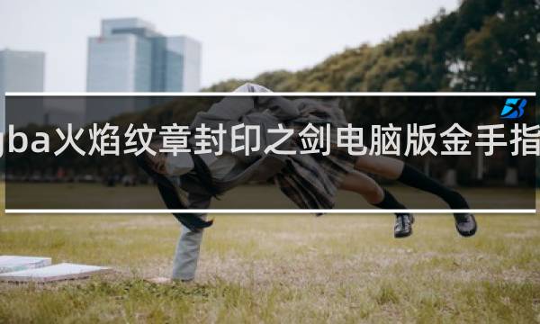 gba火焰纹章封印之剑电脑版金手指怎么用