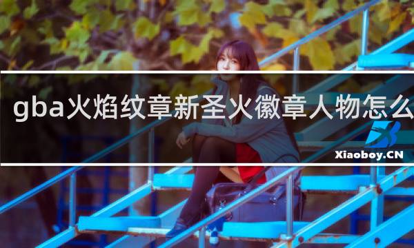 gba火焰纹章新圣火徽章人物怎么转职