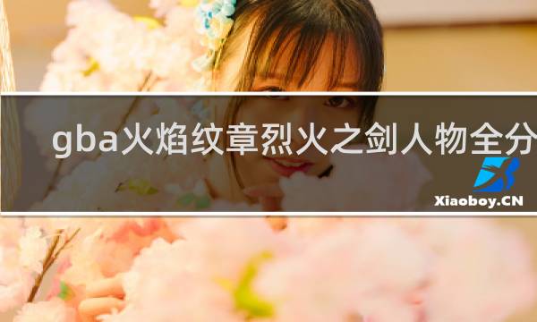 gba火焰纹章烈火之剑人物全分析