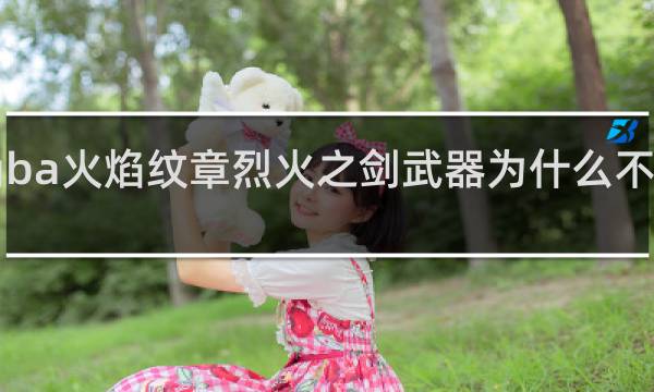 gba火焰纹章烈火之剑武器为什么不能装备