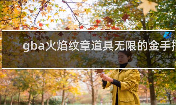 gba火焰纹章道具无限的金手指