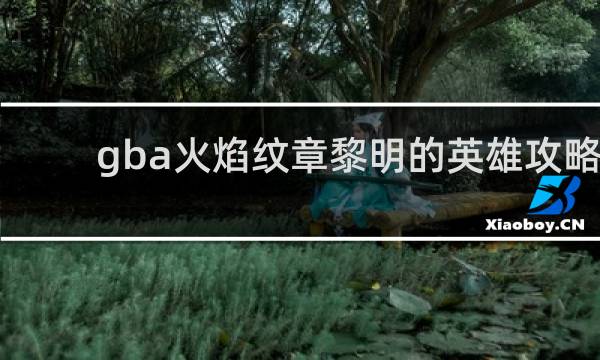 gba火焰纹章黎明的英雄攻略