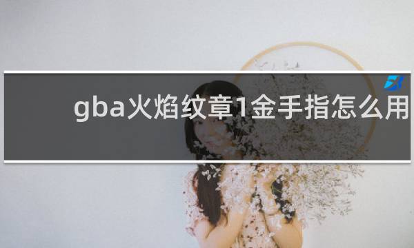 gba火焰纹章1金手指怎么用