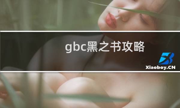 gbc黑之书攻略