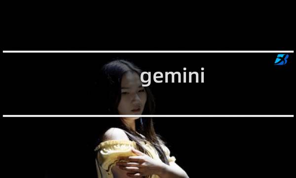 gemini 攻略