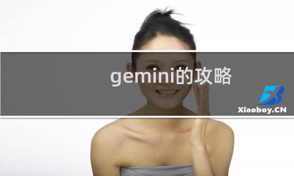 gemini的攻略