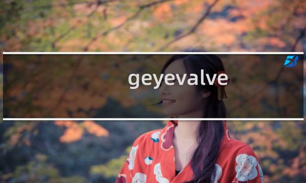 geyevalve.com网站怎么突然打不开了?