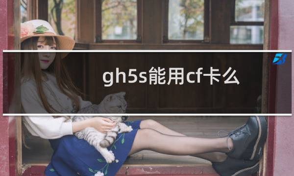 gh5s能用cf卡么