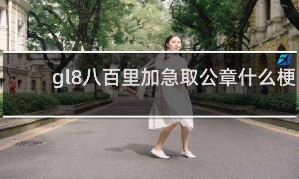 gl8八百里加急取公章什么梗