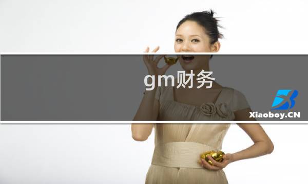 gm财务