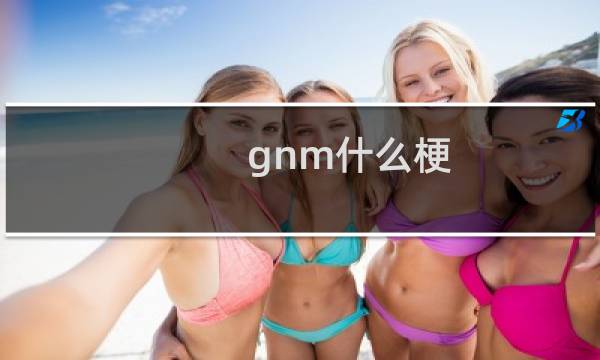 gnm什么梗
