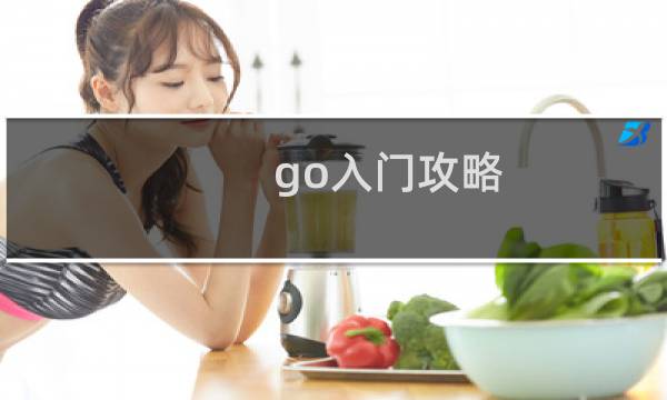 go入门攻略