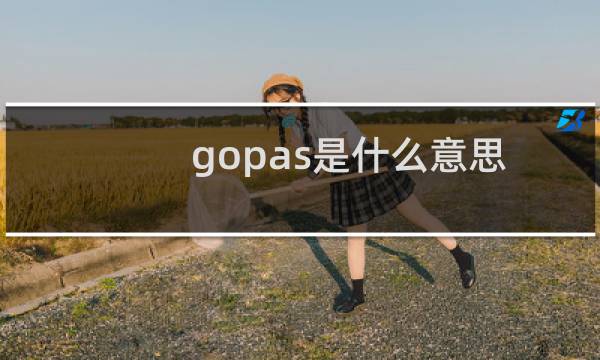 gopas是什么意思(gopas是什么牌子)