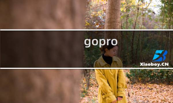 gopro 拍摄技巧