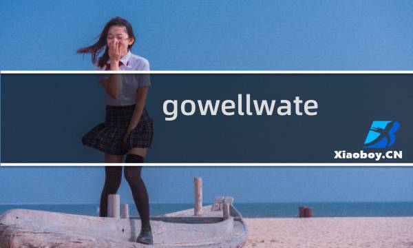 gowellwater.com这个网站的ICP备案怎么还在？