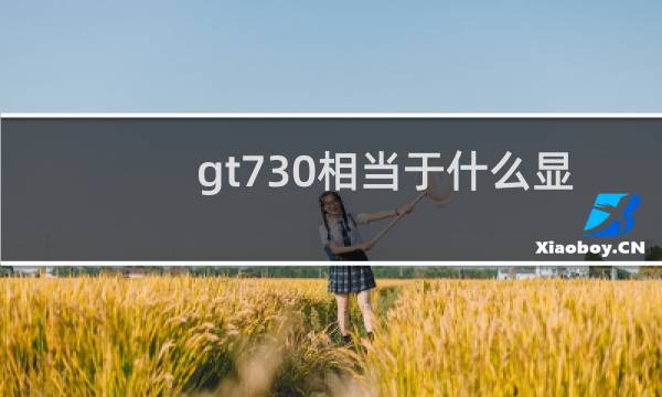 gt730相当于什么显卡lol换肤大师图片