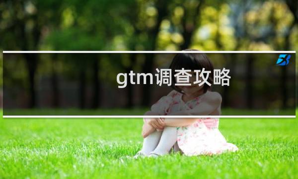 gtm调查攻略