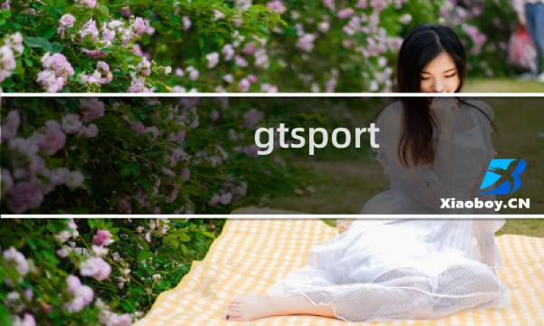 gtsport 攻略