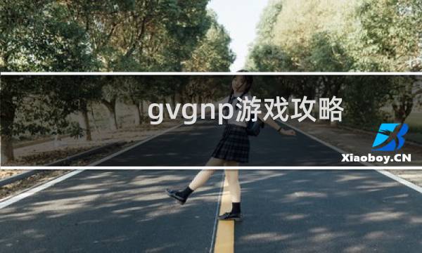 gvgnp游戏攻略