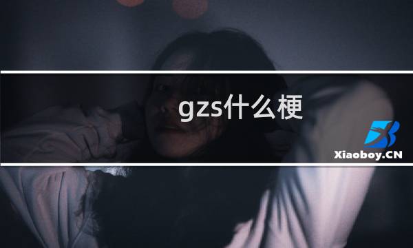 gzs什么梗