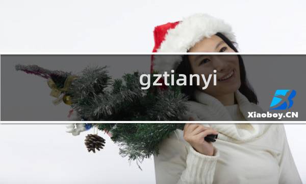 gztianyi.cn解析不生效