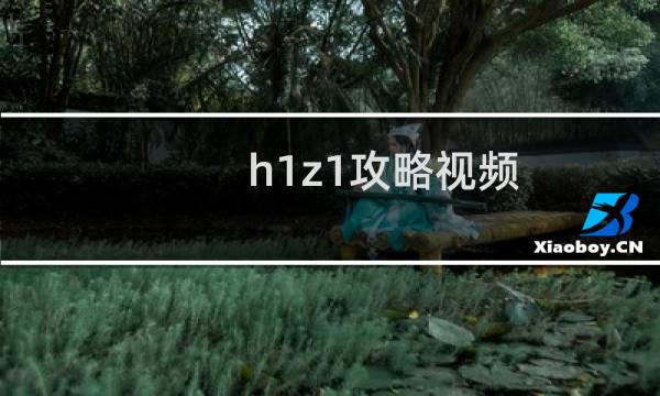 h1z1攻略视频