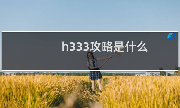 h333攻略是什么
