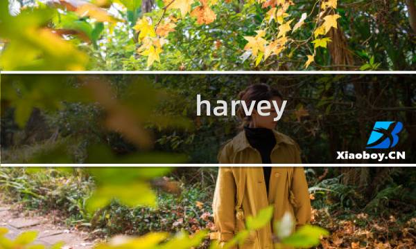 harvey 攻略