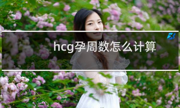 hcg孕周数怎么计算（hcg对应怀孕周数）图片