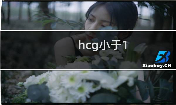 hcg小于1.2复查怀孕了能要吗（HCG小于1.2IU/L复查怀孕了能要吗）图片