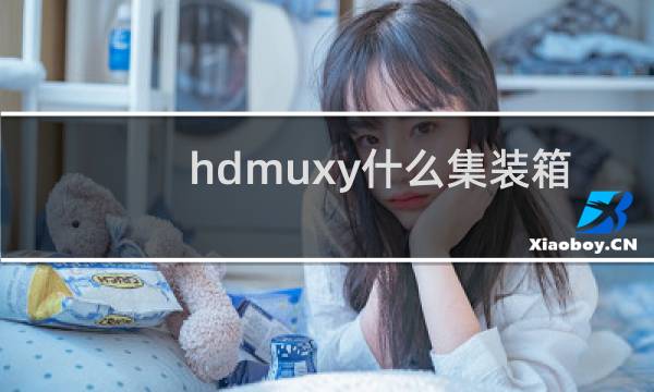 hdmuxy什么集装箱