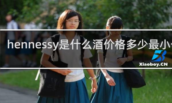 hennessy是什么酒价格多少最小一瓶